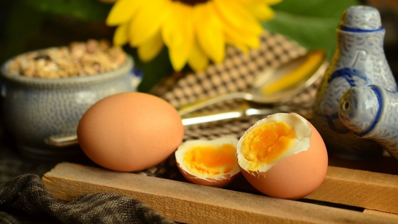 Ешь и худей: Топ-10 низкокалорийных продуктов с высоким содержанием белка