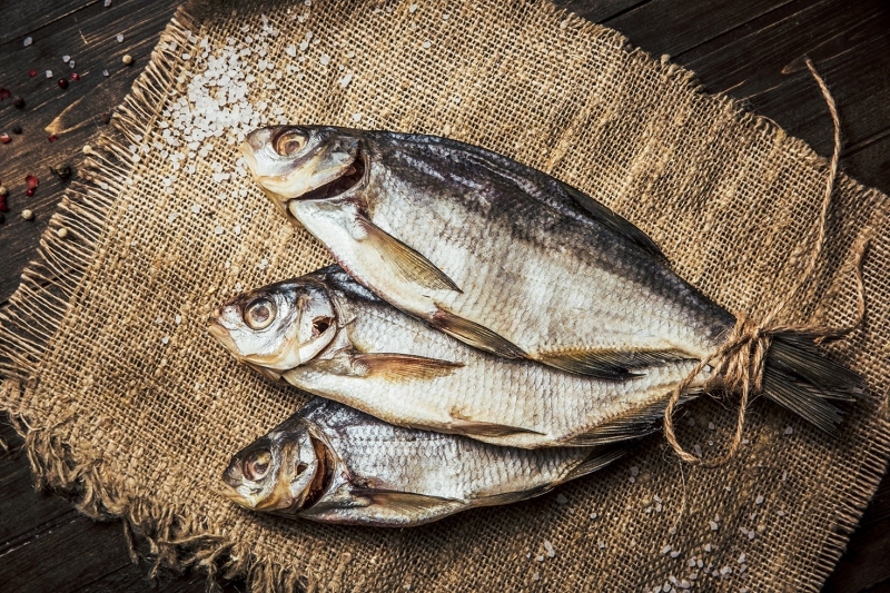 Ешь и худей: Топ-10 низкокалорийных продуктов с высоким содержанием белка