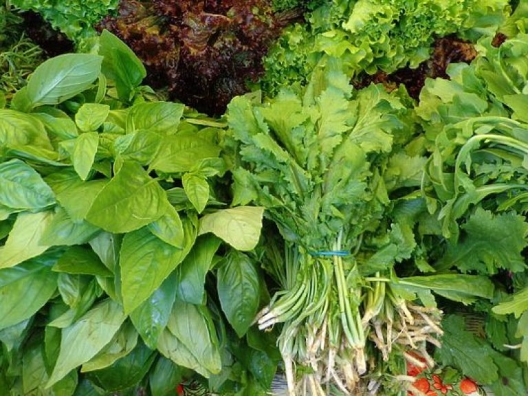 Молодильные яблоки: специалисты назвали продукты, которые снижают биологический возраст