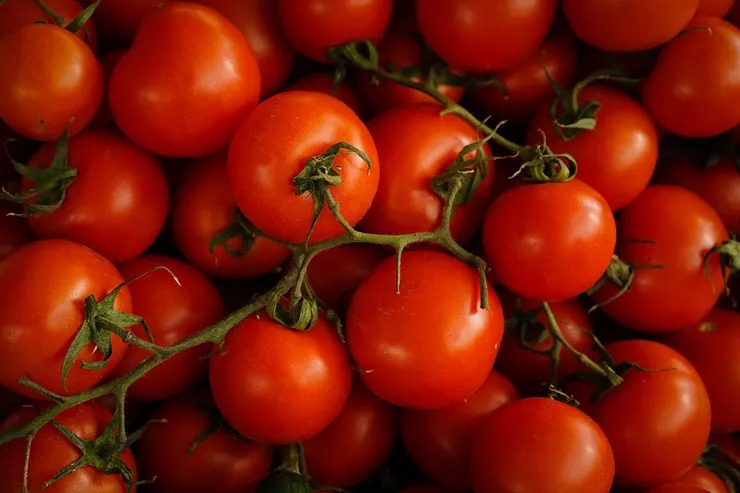 Приручить холестерин: 40 лучших продуктов, чтобы снизить его уровень
