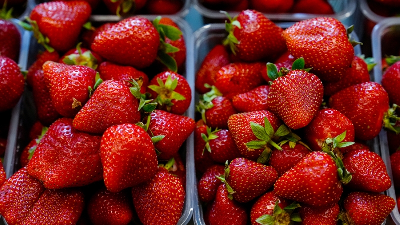 Исследователи выяснили влияние потребляемых продуктов на уровень пестицидов