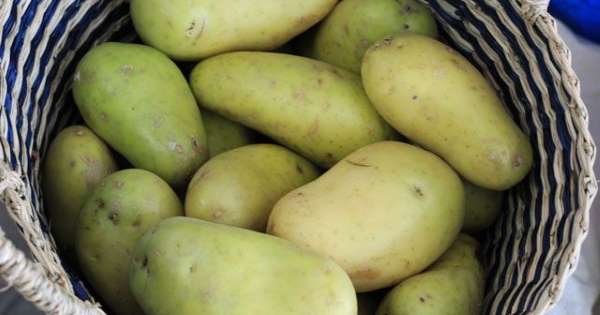 Картошка, фасоль и еще 7 продуктов, которые могут вас убить