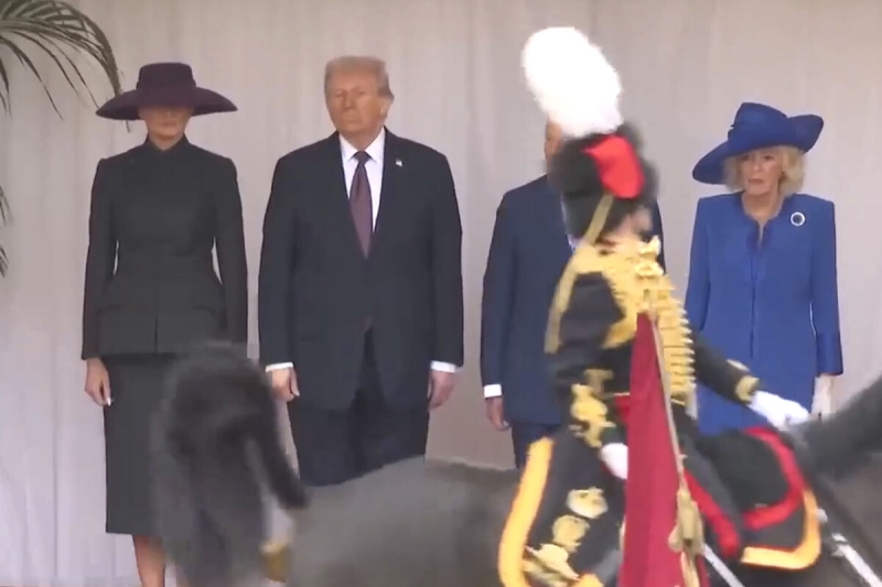 Появилось видео, как конь из почетного караула испражняется перед Трампом и Карлом III