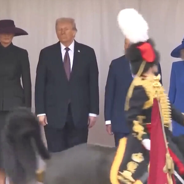 Появилось видео, как конь из почетного караула испражняется перед Трампом и Карлом III