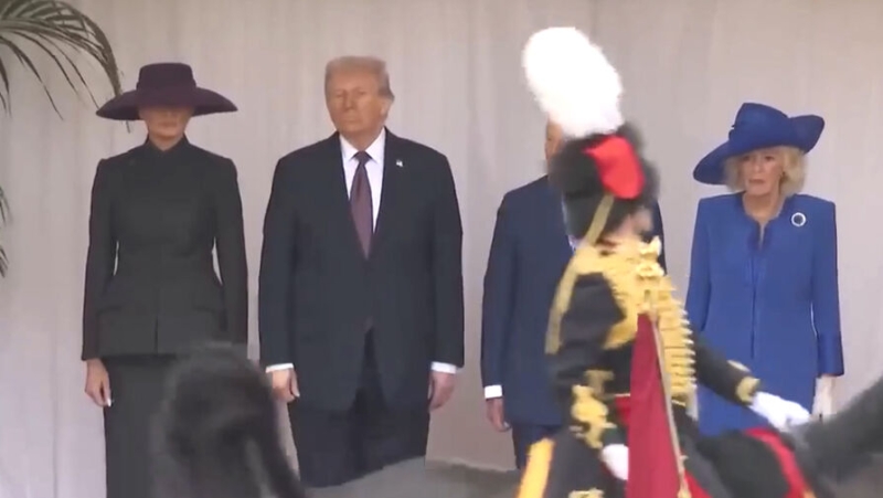 Появилось видео, как конь из почетного караула испражняется перед Трампом и Карлом III