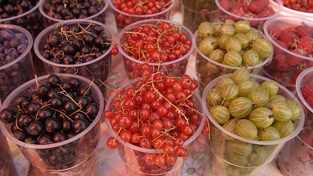 Нутрициолог назвал лучшие продукты для стимуляции мозга