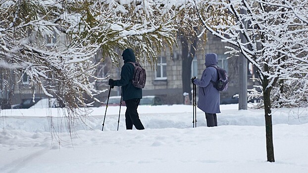 Как не допустить дефицита витамина D и магния в холодный период