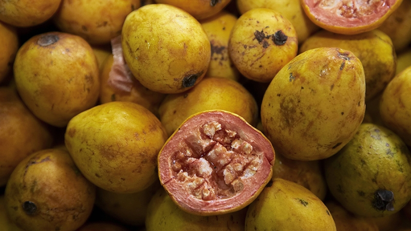 Биотехнолог назвала главное достоинство фейхоа