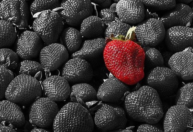 Что такое антивитамины и почему вам не нужны витаминные комплексы