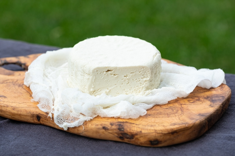 Как изобрели веганский сыр, из чего его делают и способен ли этот продукт заменить молочные аналоги