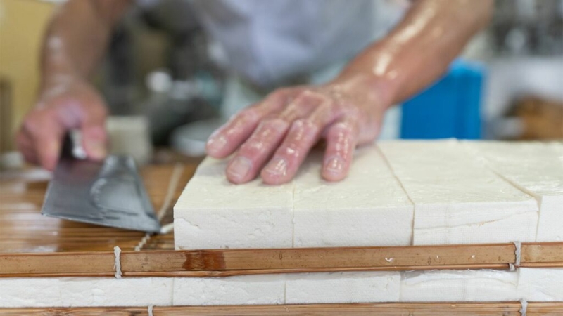 Как изобрели веганский сыр, из чего его делают и способен ли этот продукт заменить молочные аналоги