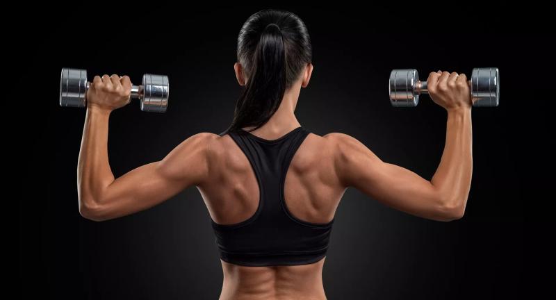 Как накачать бицепс: программа и видео упражнений