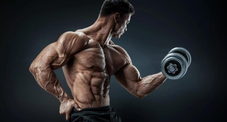 Как накачать бицепс: программа и видео упражнений