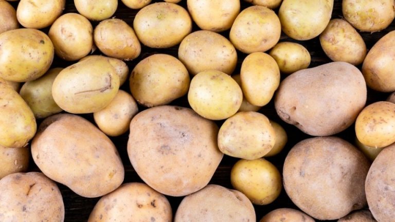 Названы правила хранения овощей в городской квартире