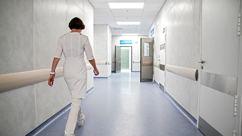 Нутрициолог объяснила влияние рациона на когнитивные функции и память