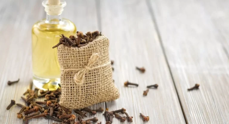 Лечебная пряность: чем полезна гвоздика для здоровья и что с ней приготовить