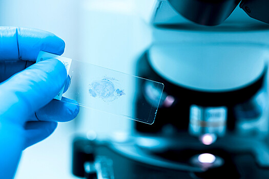 Определен способ снизить риск развития восьми видов рака